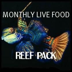 refill pouches montly subsription of 100ml of copepods and 100ml plankton live food