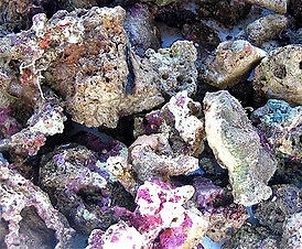 500g of live rock rubble for filter systems or refugium
