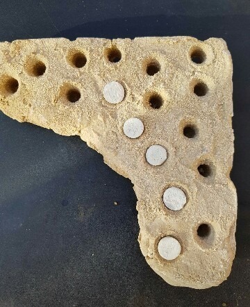 large frag plate approx 15 holes 9inch x 9inch holds our frag plugs
