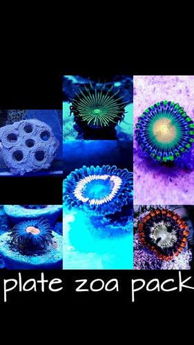 plate zoa pack