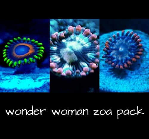 wonder woman zoa pack