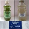 REEF PACK SET 250ML copepods 250ml phytoplankton 100ml rotifers pouch FREE POSTAGE