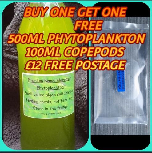 500ml phytoplankton 100ml copepods pouch BUY ONE GET ONE FREE