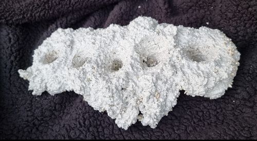 Wysiwyg Reef arch 5 holes 10" x 3" create your own coral garden