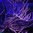 Photosynthetic sea whip gorgonian frag 1-2 inch